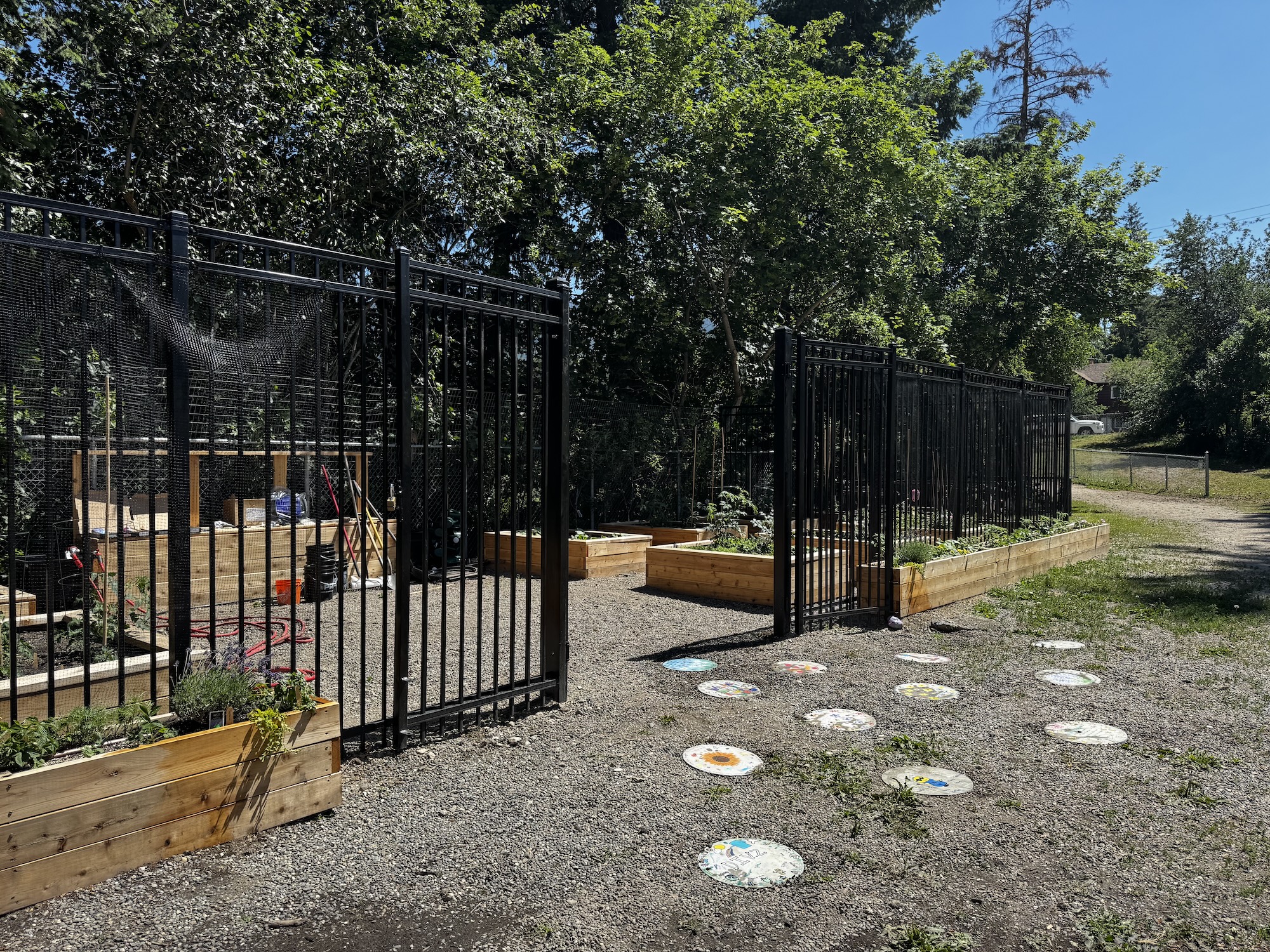 Armstrong Elementary School Garden 2025